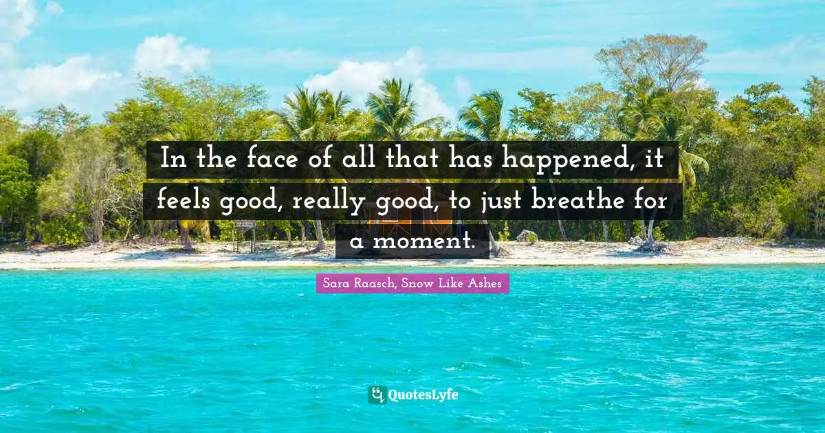 Sara Raasch, Snow Like Ashes Quotes: "In the face of all that has happened, it feels good, really good, to just breathe for a moment."