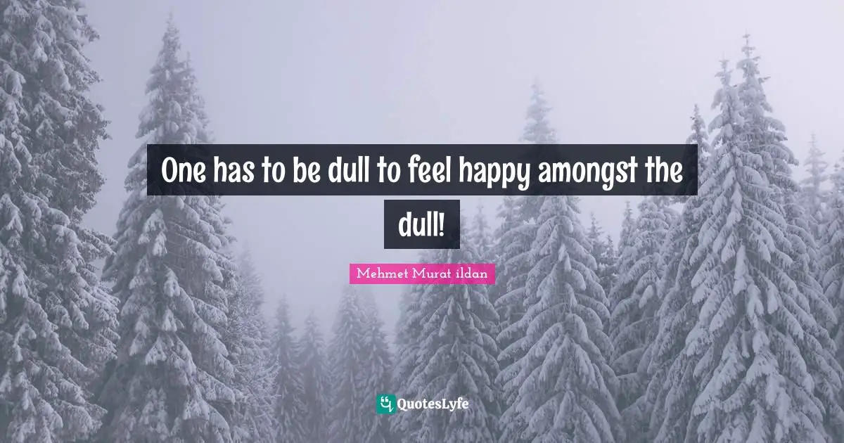 One has to be dull to feel happy amongst the dull!