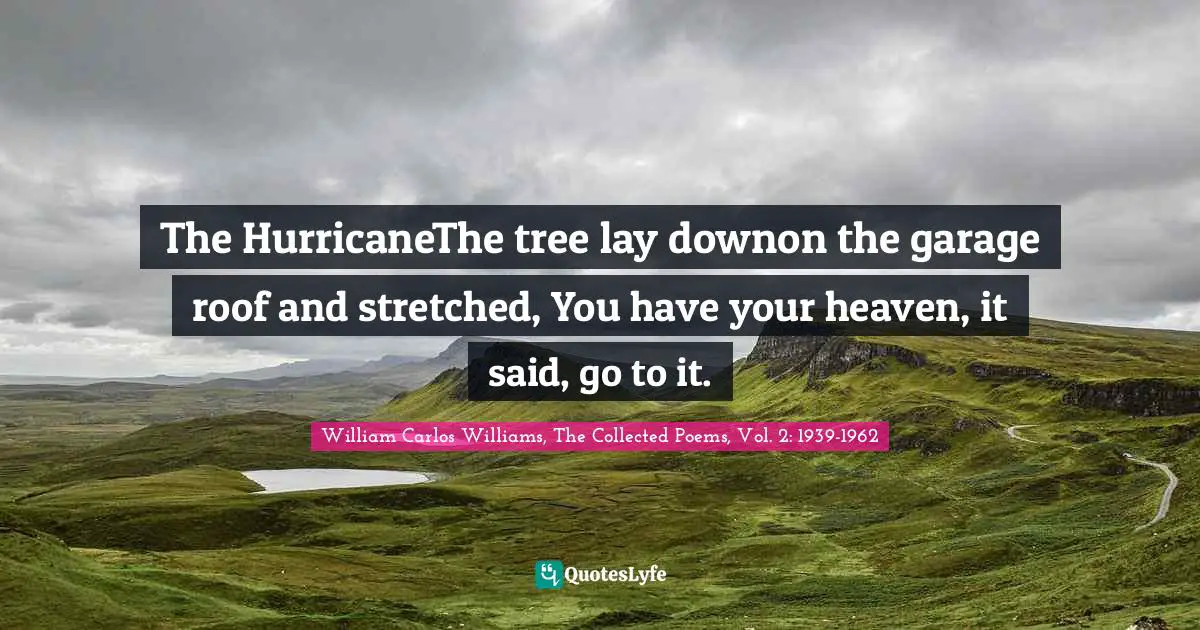 The HurricaneThe tree lay downon the garage roof and stretched, You have your heaven, it said, go to it.