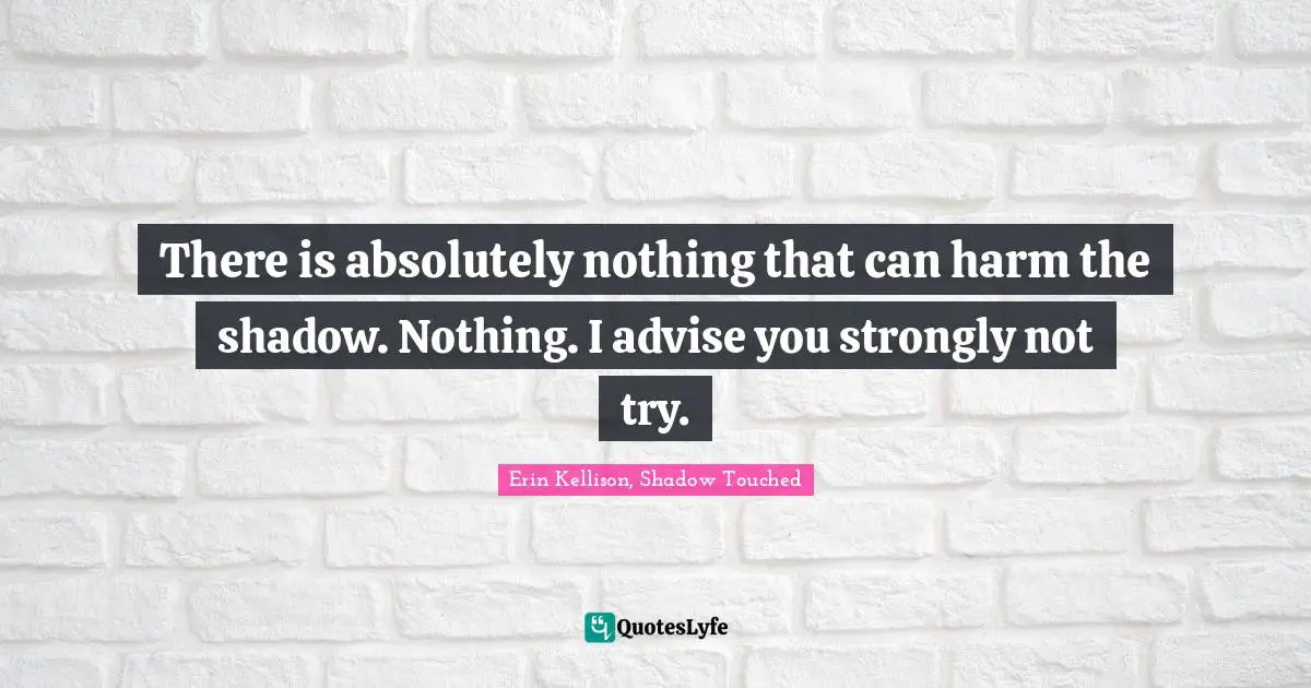 There is absolutely nothing that can harm the shadow. Nothing. I advise you strongly not try.