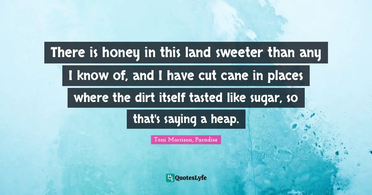 There is honey in this land sweeter than any I know of, and I have cut cane in places where the dirt itself tasted like sugar, so that's saying a heap.