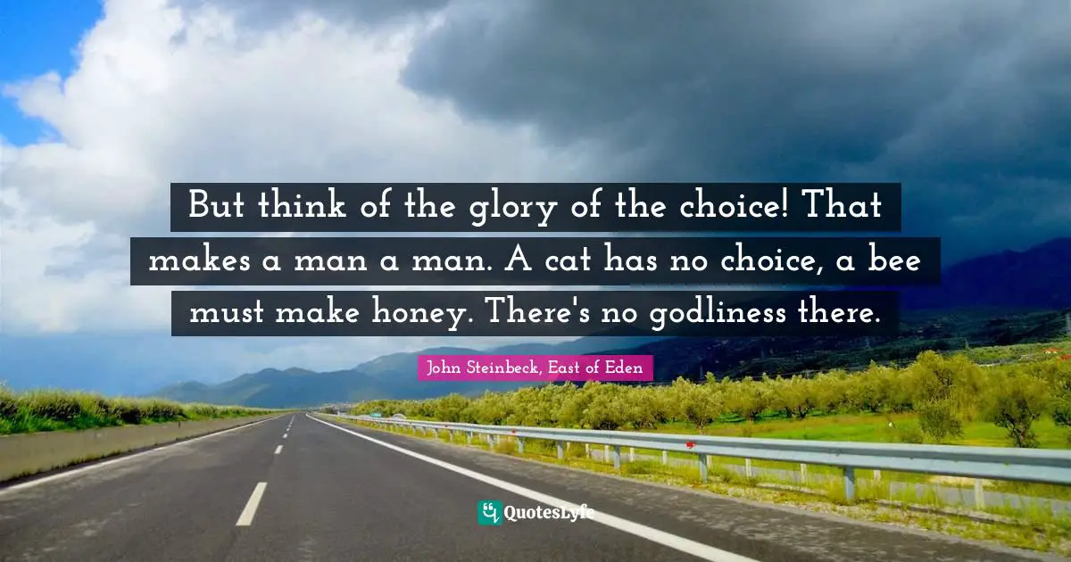 But think of the glory of the choice! That makes a man a man. A cat has no choice, a bee must make honey. There's no godliness there.