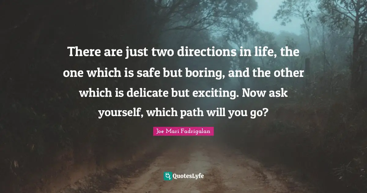 There are just two directions in life, the one which is safe but boring, and the other which is delicate but exciting. Now ask yourself, which path will you go?