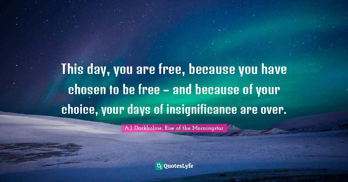 Insignificance Quotes: "This day, you are free, because you have chosen to be free – and because of your choice, your days of insignificance are over."