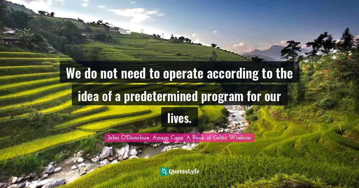 We do not need to operate according to the idea of a predetermined program for our lives.