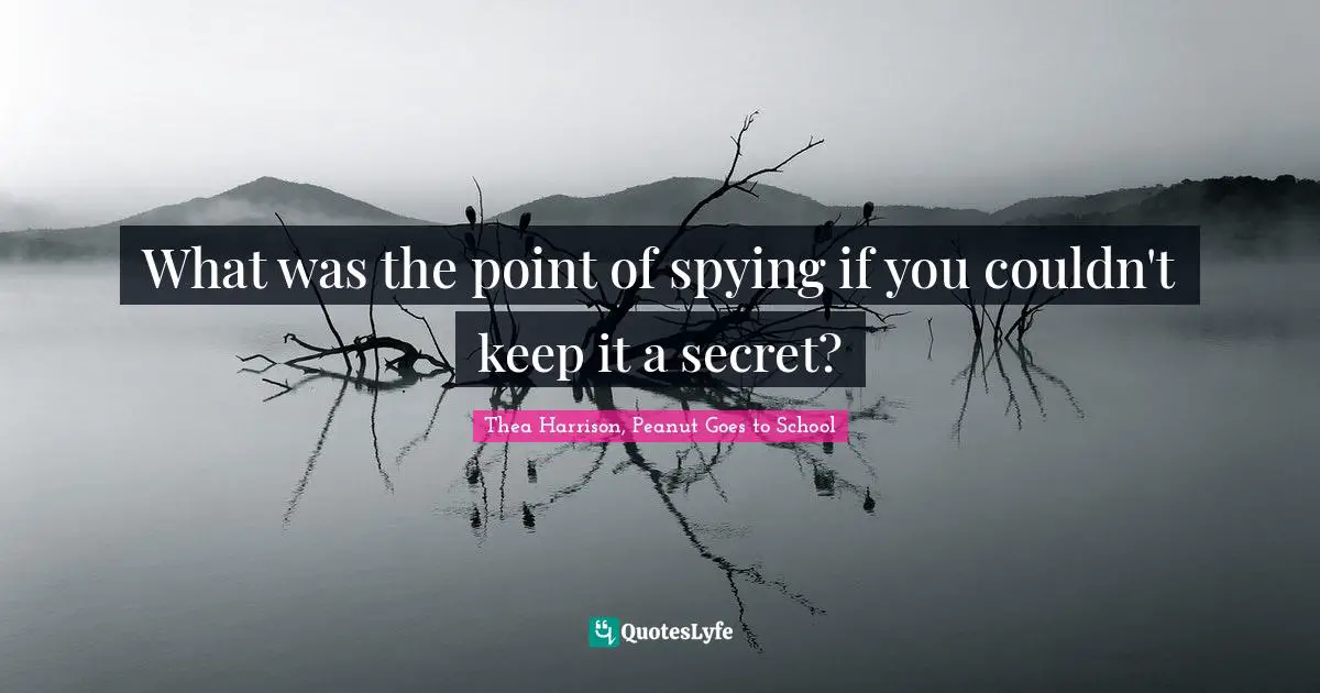 What was the point of spying if you couldn't keep it a secret?