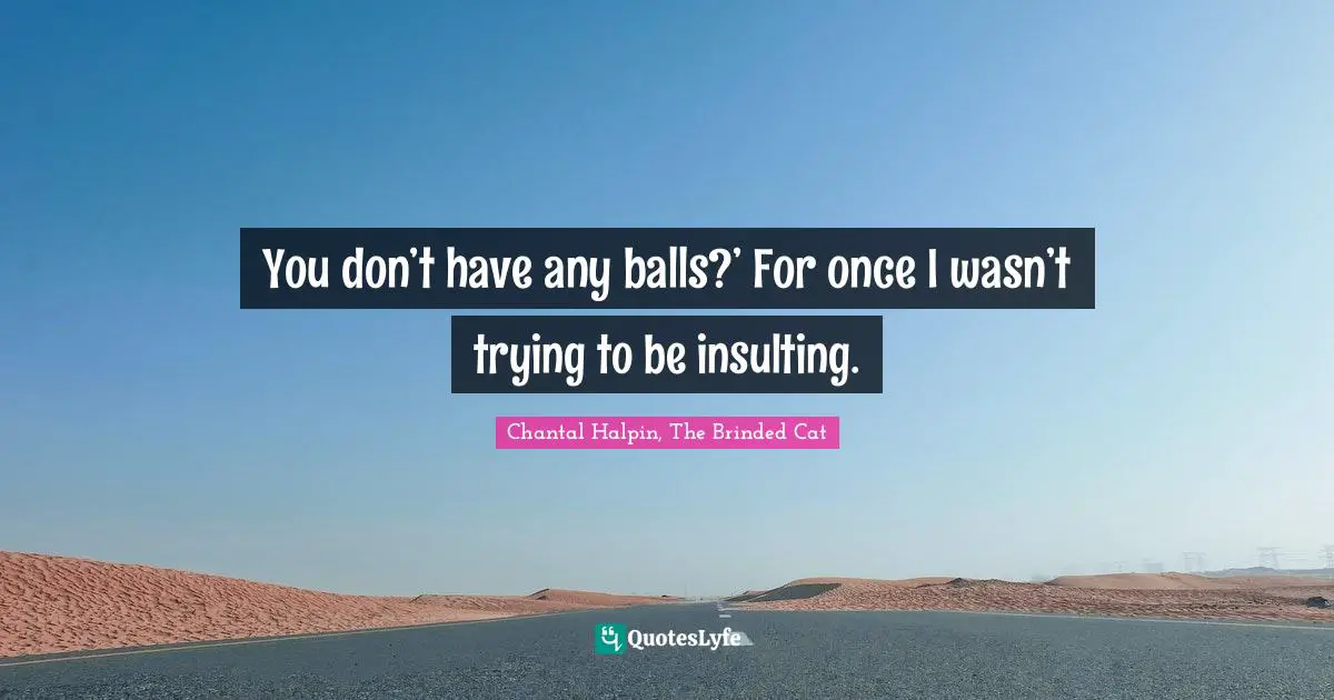 You don’t have any balls?’ For once I wasn’t trying to be insulting.