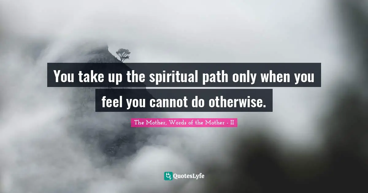 Spiritual Path Quotes: "You take up the spiritual path only when you feel you cannot do otherwise."