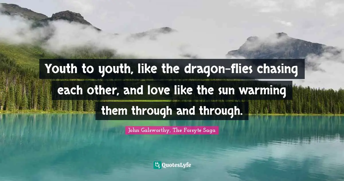 John Galsworthy Quotes: "Youth to youth, like the dragon-flies chasing each other, and love like the sun warming them through and through."