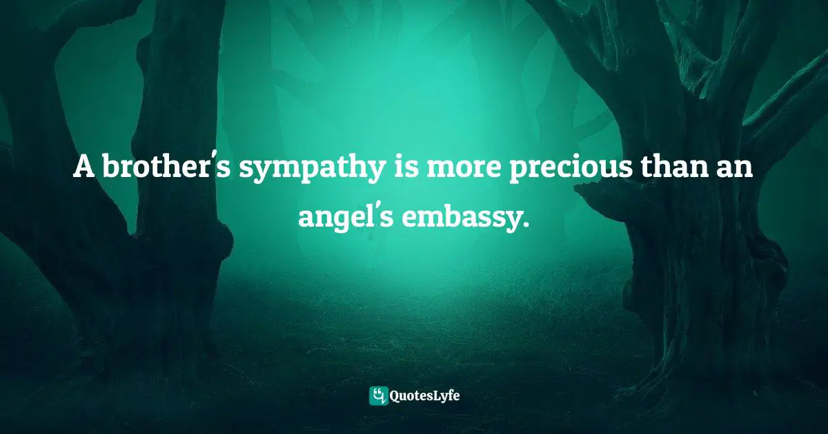 A brother's sympathy is more precious than an angel's embassy.