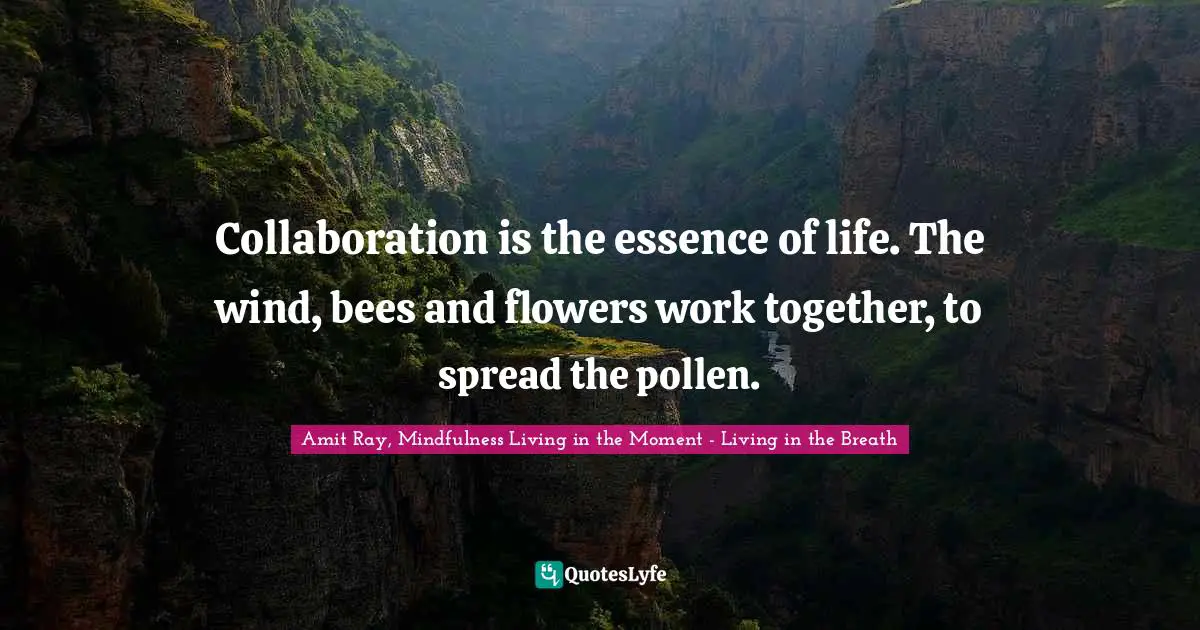 Amit Ray, Mindfulness Living In The Moment - Living In The Breath Quotes: "Collaboration is the essence of life. The wind, bees and flowers work together, to spread the pollen."
