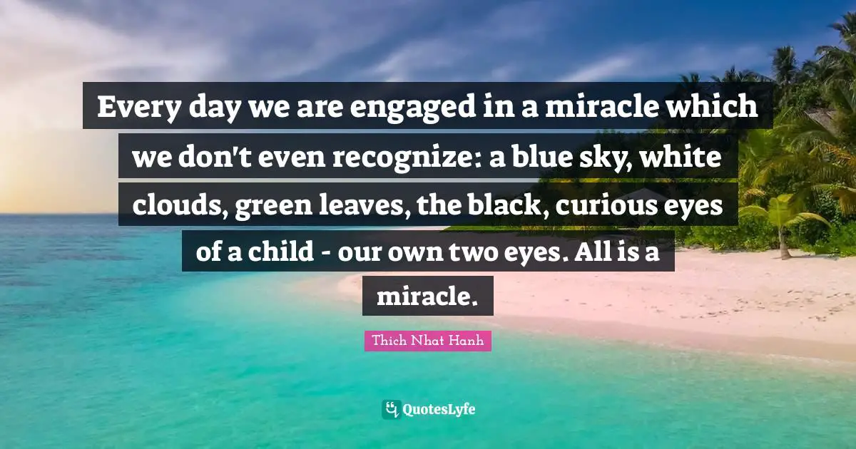 Every day we are engaged in a miracle which we don't even recognize: a blue sky, white clouds, green leaves, the black, curious eyes of a child - our own two eyes. All is a miracle.