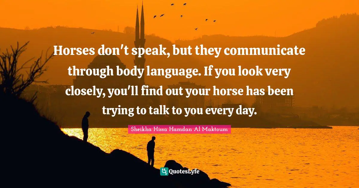 Horses don't speak, but they communicate through body language. If you look very closely, you'll find out your horse has been trying to talk to you every day.