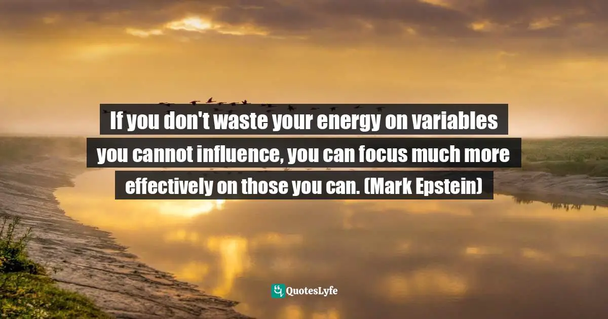 If you don't waste your energy on variables you cannot influence, you can focus much more effectively on those you can. (Mark Epstein)