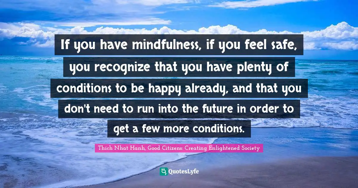 If you have mindfulness, if you feel safe, you recognize that you have plenty of conditions to be happy already, and that you don't need to run into the future in order to get a few more conditions.