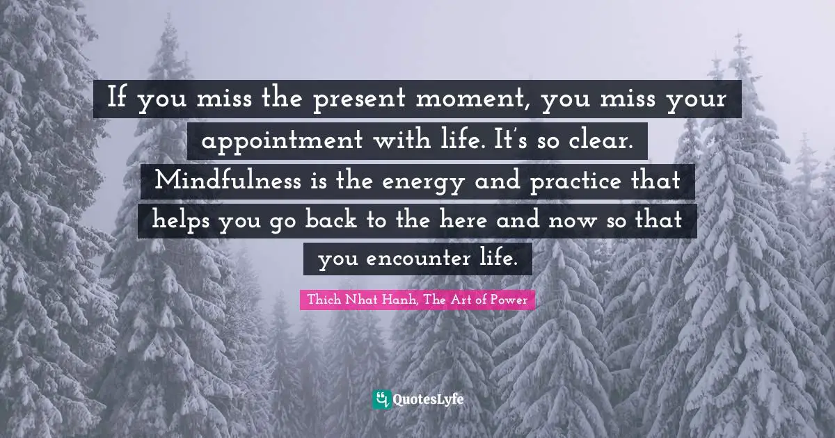 If you miss the present moment, you miss your appointment with life. It’s so clear. Mindfulness is the energy and practice that helps you go back to the here and now so that you encounter life.