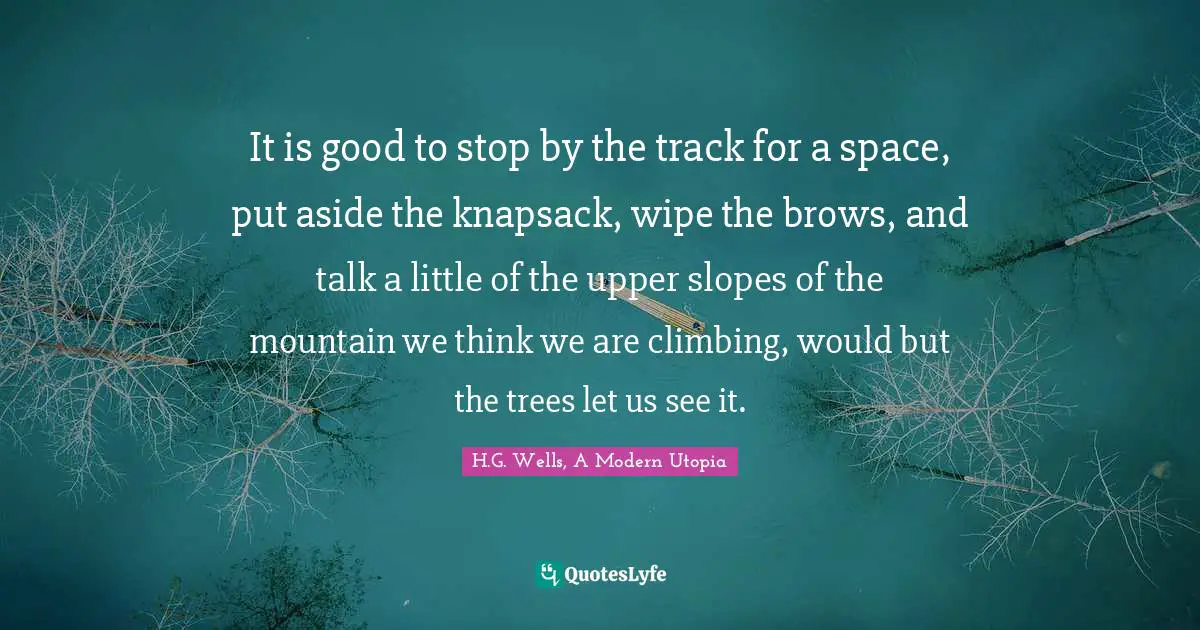 It is good to stop by the track for a space, put aside the knapsack, wipe the brows, and talk a little of the upper slopes of the mountain we think we are climbing, would but the trees let us see it.