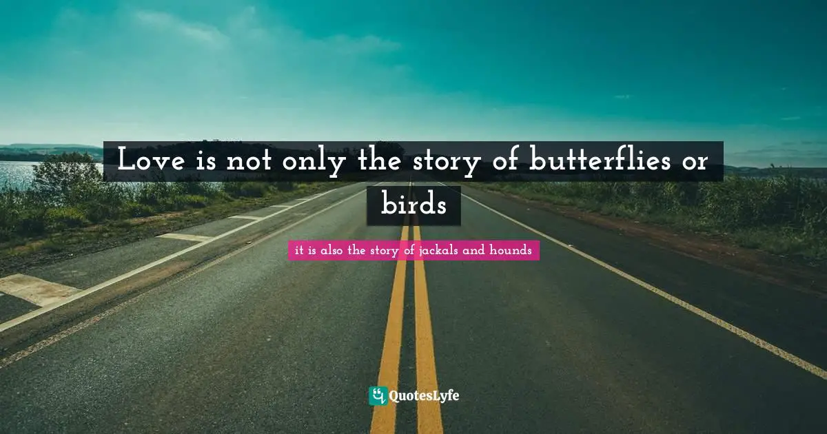 Love is not only the story of butterflies or birds