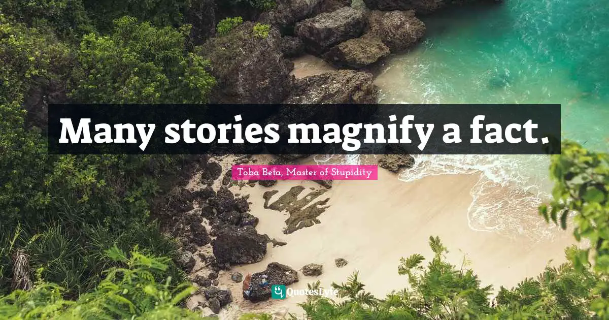 Toba Beta Quotes: "Many stories magnify a fact."