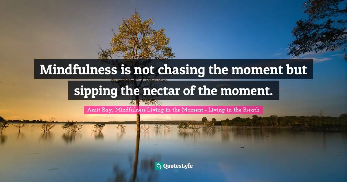 Amit Ray, Mindfulness Living In The Moment - Living In The Breath Quotes: "Mindfulness is not chasing the moment but sipping the nectar of the moment."