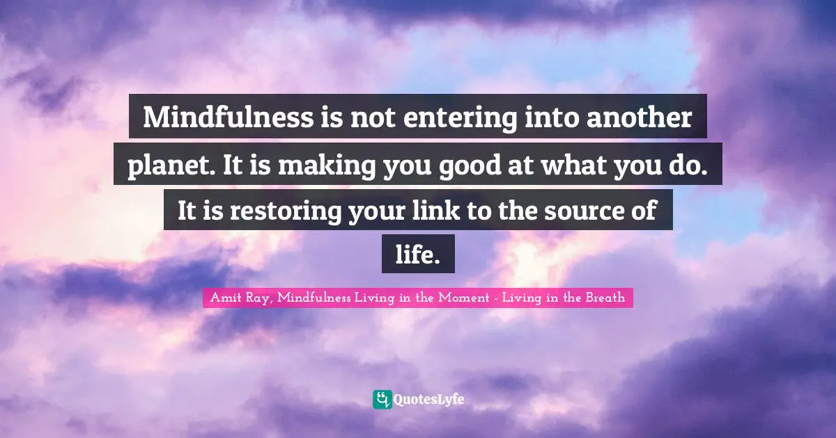 Living In The Moment Quotes: "Mindfulness is not entering into another planet. It is making you good at what you do. It is restoring your link to the source of life."