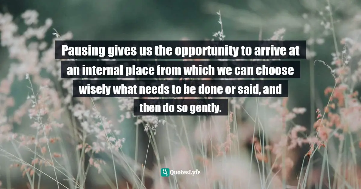 Pausing gives us the opportunity to arrive at an internal place from which we can choose wisely what needs to be done or said, and then do so gently.