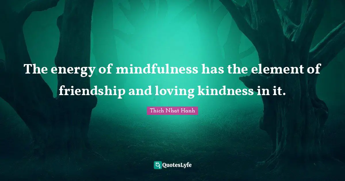 The energy of mindfulness has the element of friendship and loving kindness in it.