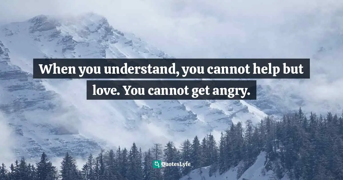When you understand, you cannot help but love. You cannot get angry.