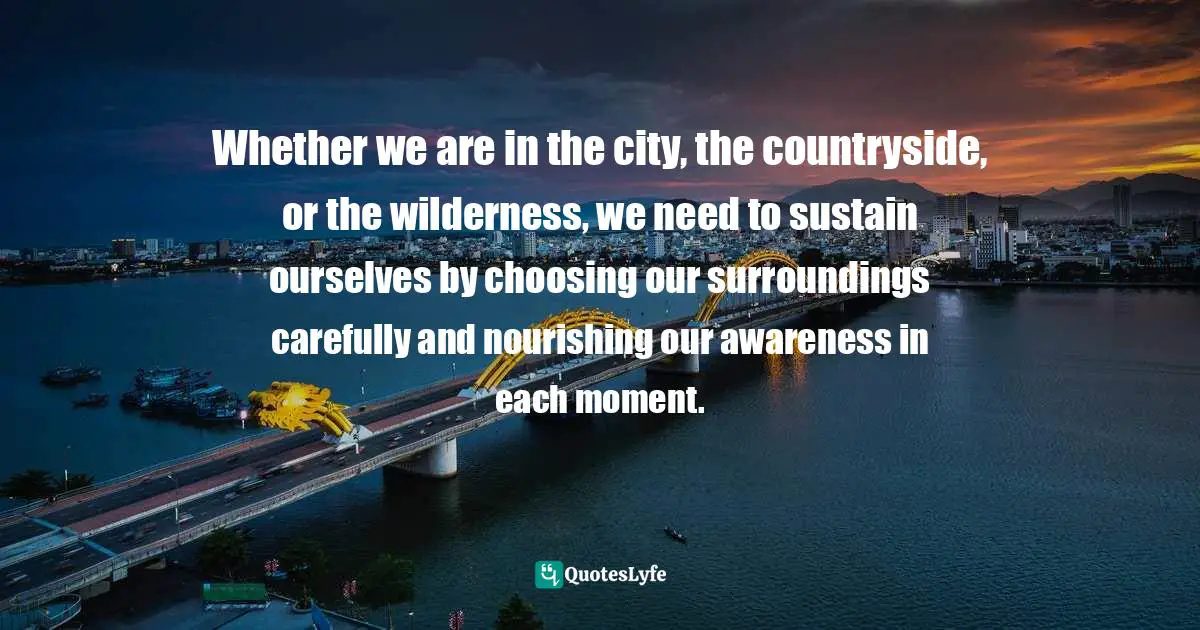 Whether we are in the city, the countryside, or the wilderness, we need to sustain ourselves by choosing our surroundings carefully and nourishing our awareness in each moment.