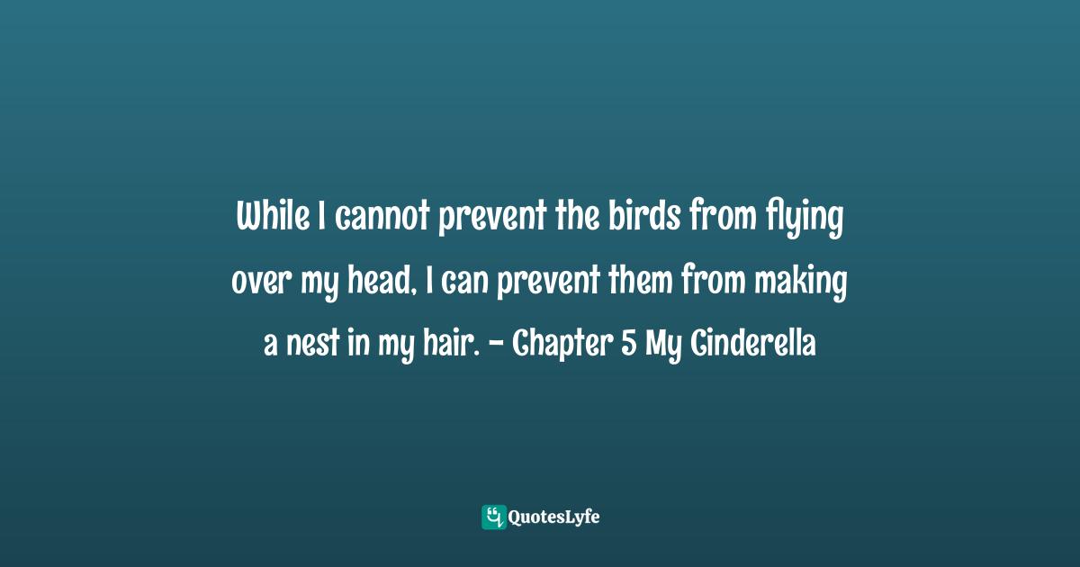 While I cannot prevent the birds from flying over my head, I can prevent them from making a nest in my hair. - Chapter 5 My Cinderella
