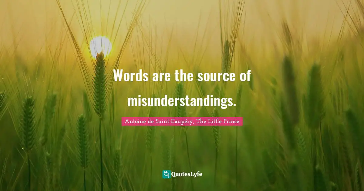 Words are the source of misunderstandings.