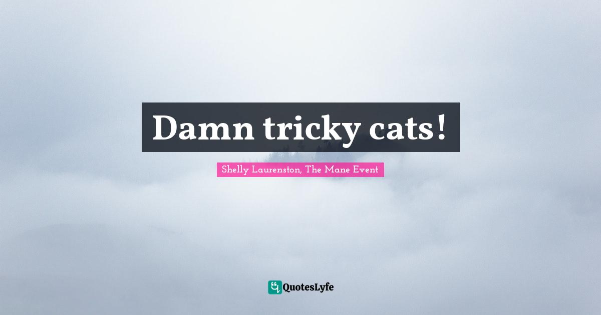Damn tricky cats!