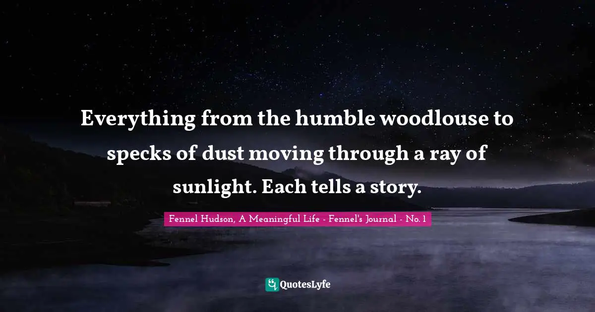 Everything from the humble woodlouse to specks of dust moving through a ray of sunlight. Each tells a story.