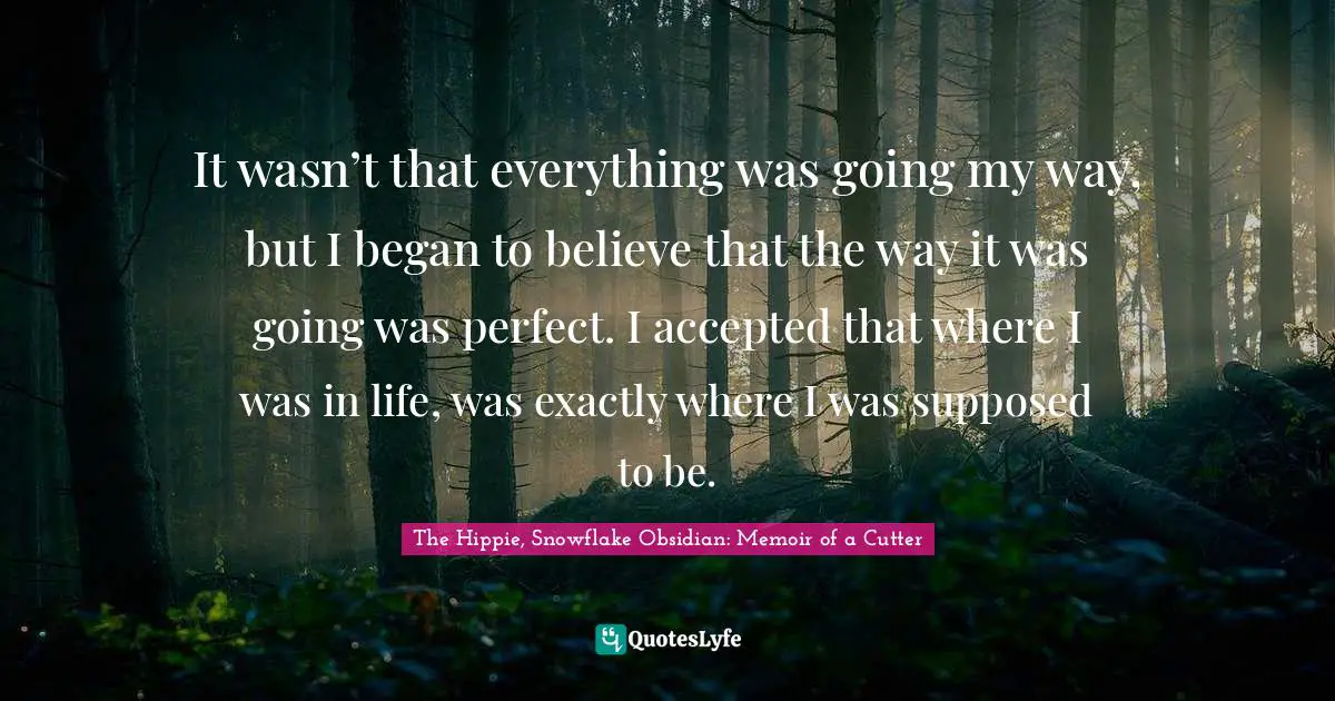 It wasn’t that everything was going my way, but I began to believe that the way it was going was perfect. I accepted that where I was in life, was exactly where I was supposed to be.
