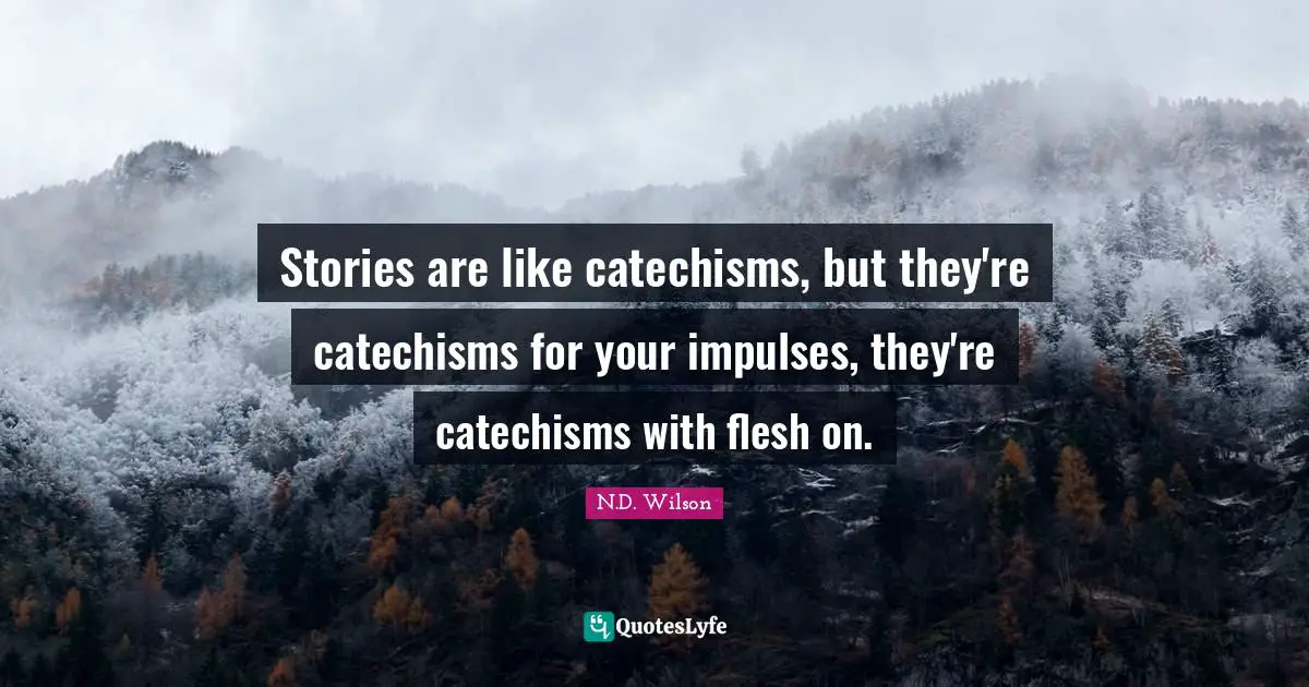 Stories are like catechisms, but they're catechisms for your impulses, they're catechisms with flesh on.