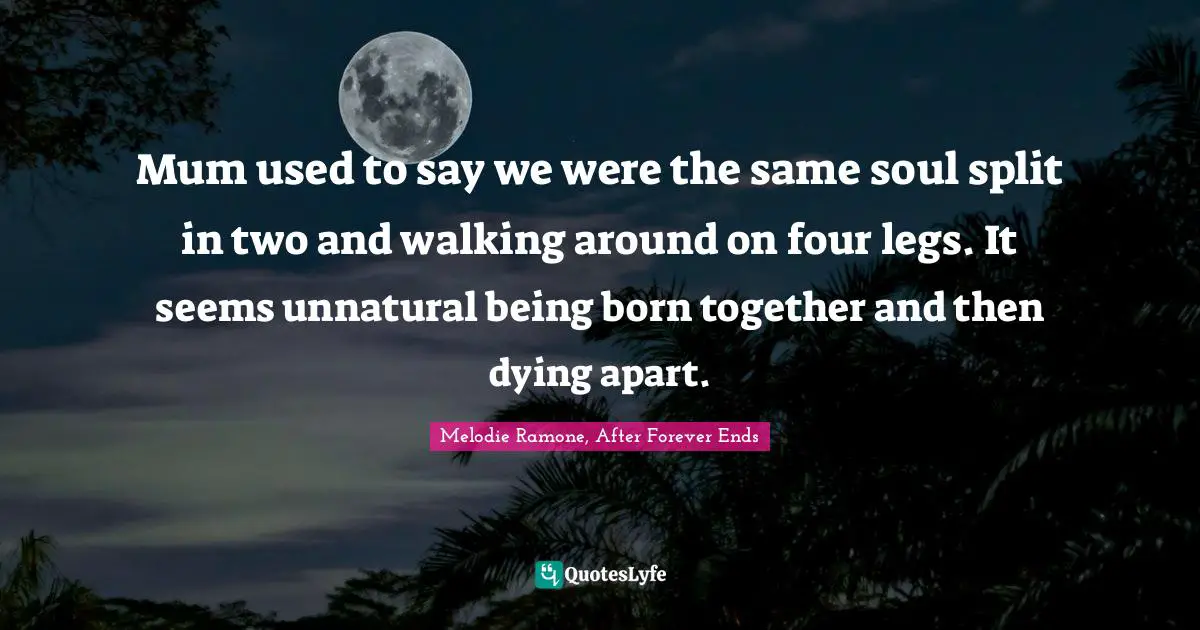 Mum used to say we were the same soul split in two and walking around on four legs. It seems unnatural being born together and then dying apart.