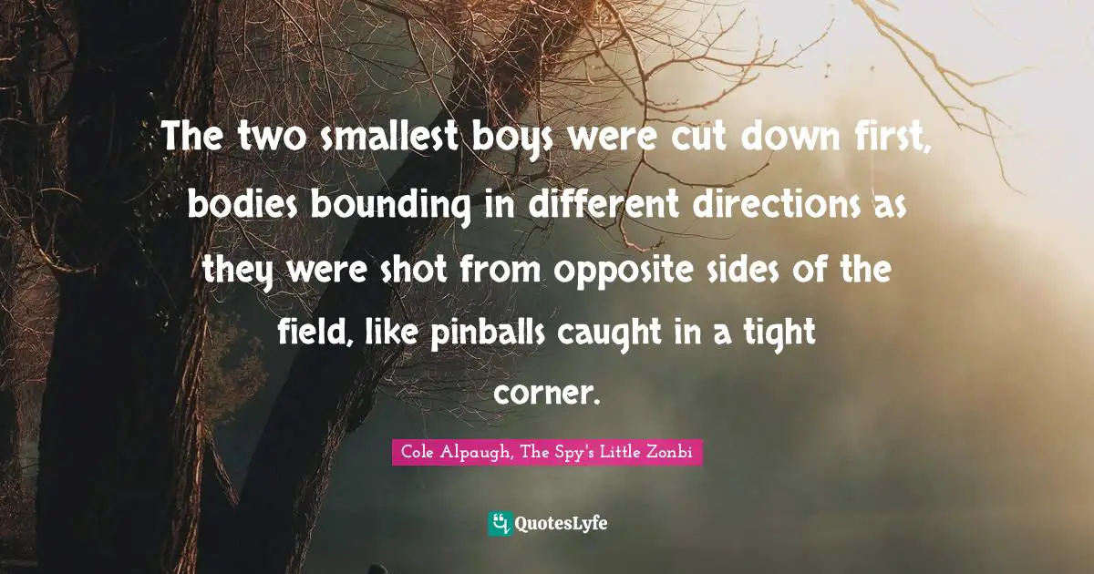 The two smallest boys were cut down first, bodies bounding in different directions as they were shot from opposite sides of the field, like pinballs caught in a tight corner.