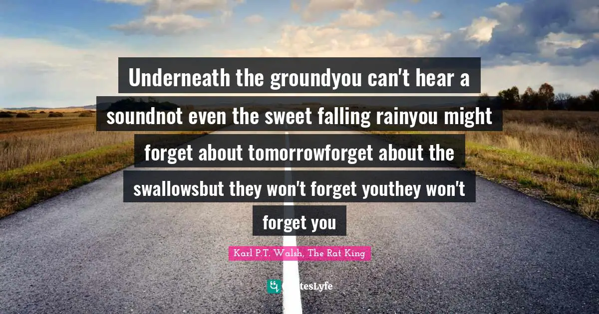 Literary Fiction Quotes: "Underneath the groundyou can't hear a soundnot even the sweet falling rainyou might forget about tomorrowforget about the swallowsbut they won't forget youthey won't forget you"