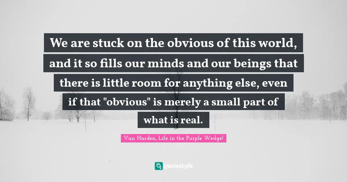 We are stuck on the obvious of this world, and it so fills our minds and our beings that there is little room for anything else, even if that "obvious" is merely a small part of what is real.