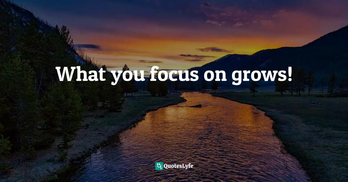 What you focus on grows!