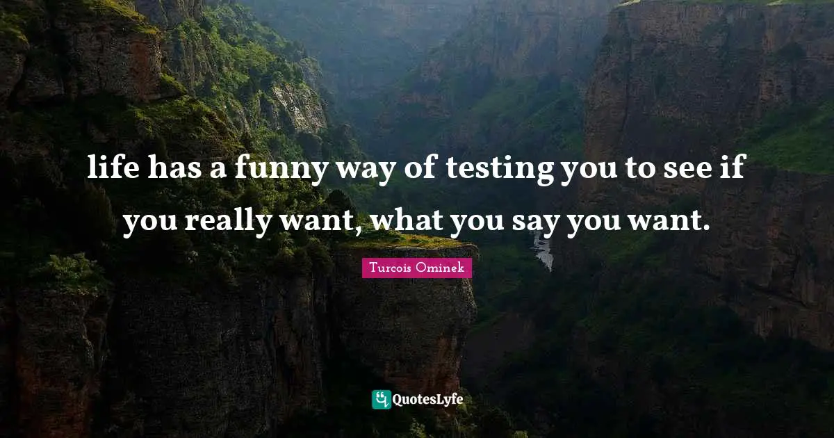 life has a funny way of testing you to see if you really want, what you say you want.