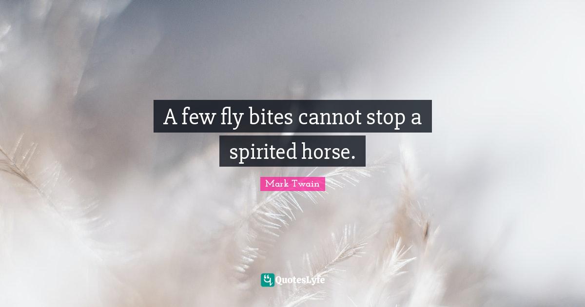 Spirited Quotes: "A few fly bites cannot stop a spirited horse."