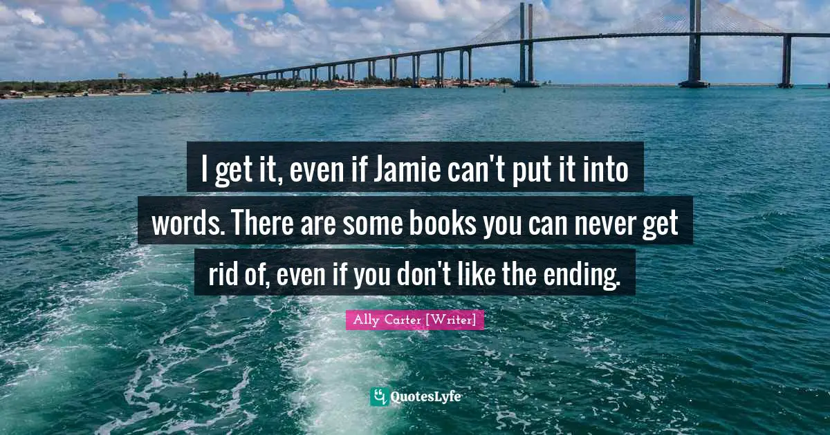 I get it, even if Jamie can't put it into words. There are some books you can never get rid of, even if you don't like the ending.
