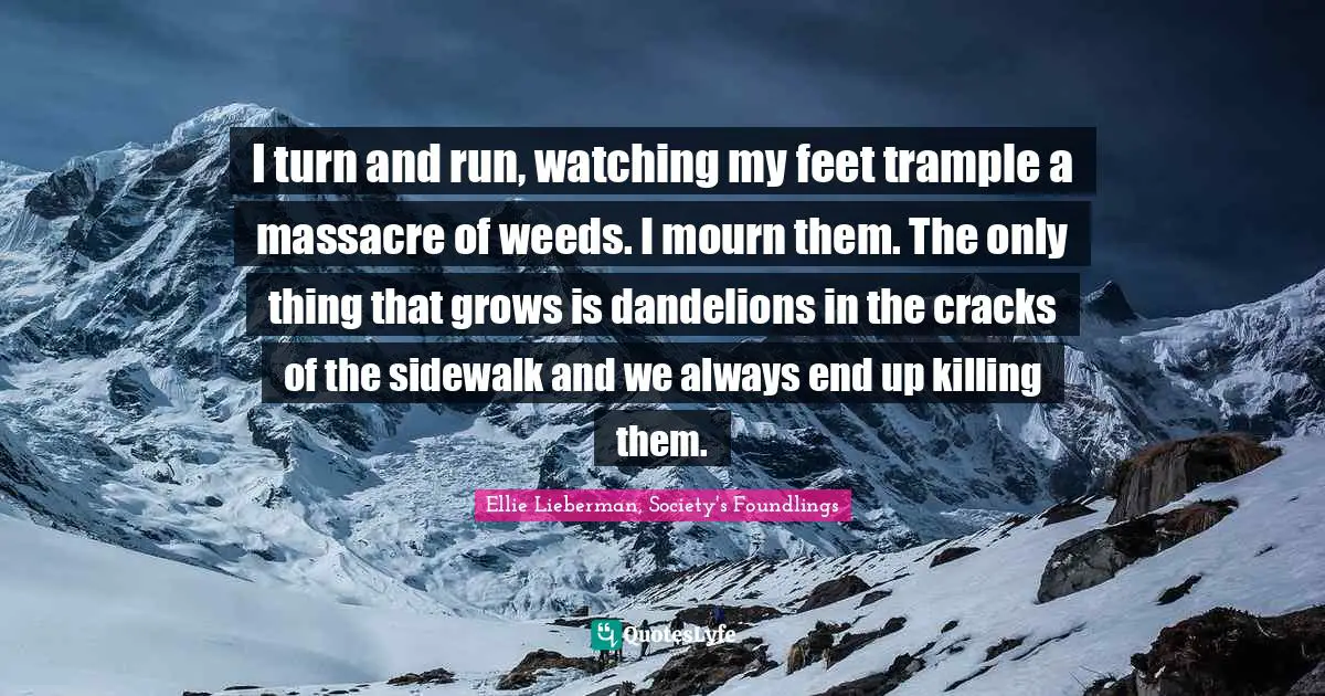 I turn and run, watching my feet trample a massacre of weeds. I mourn them. The only thing that grows is dandelions in the cracks of the sidewalk and we always end up killing them.