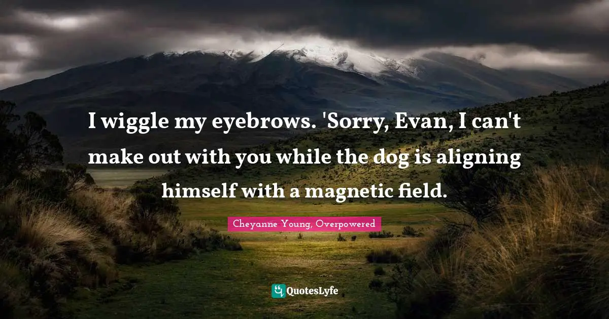 I wiggle my eyebrows. 'Sorry, Evan, I can't make out with you while the dog is aligning himself with a magnetic field.