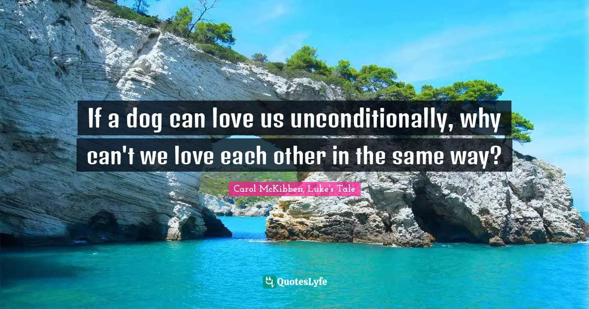 If a dog can love us unconditionally, why can't we love each other in the same way?