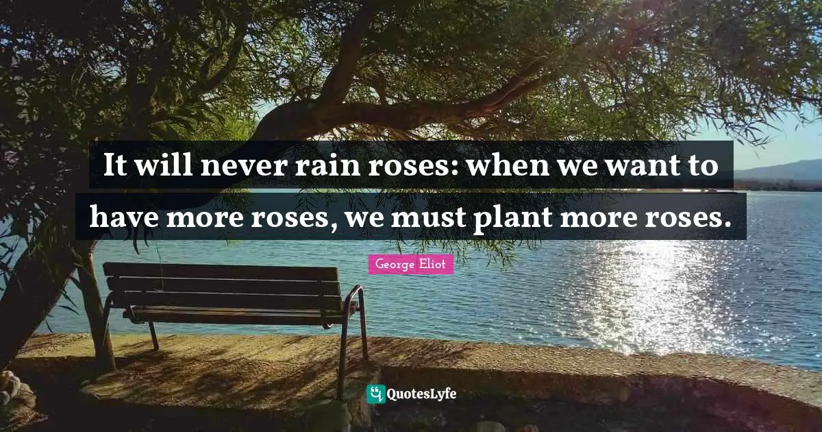 It will never rain roses: when we want to have more roses, we must pla ...