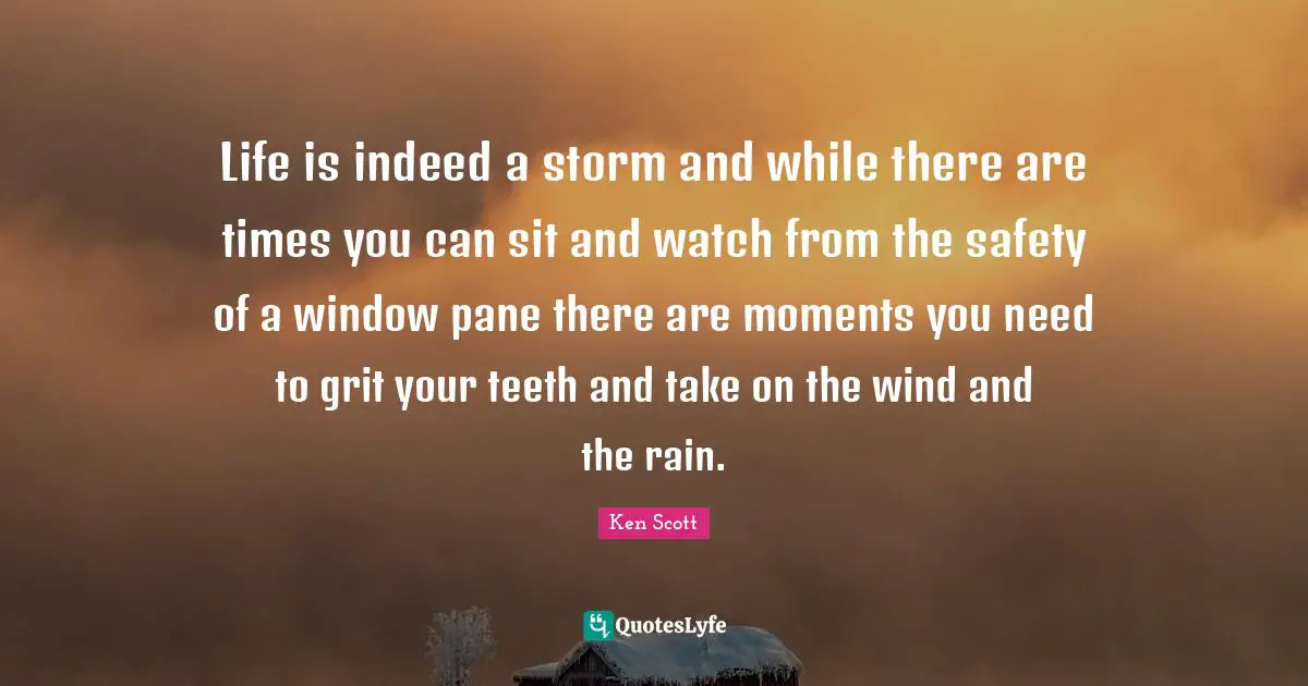 Life is indeed a storm and while there are times you can sit and watch from the safety of a window pane there are moments you need to grit your teeth and take on the wind and the rain.