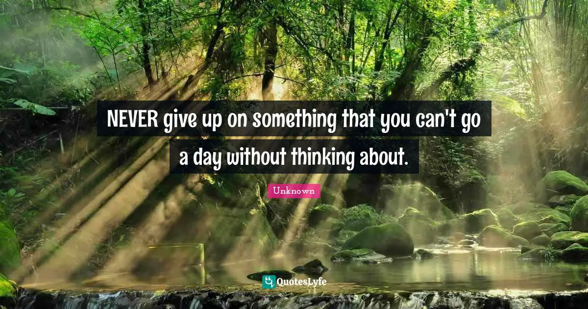 Persistence Quotes: "NEVER give up on something that you can't go a day without thinking about."