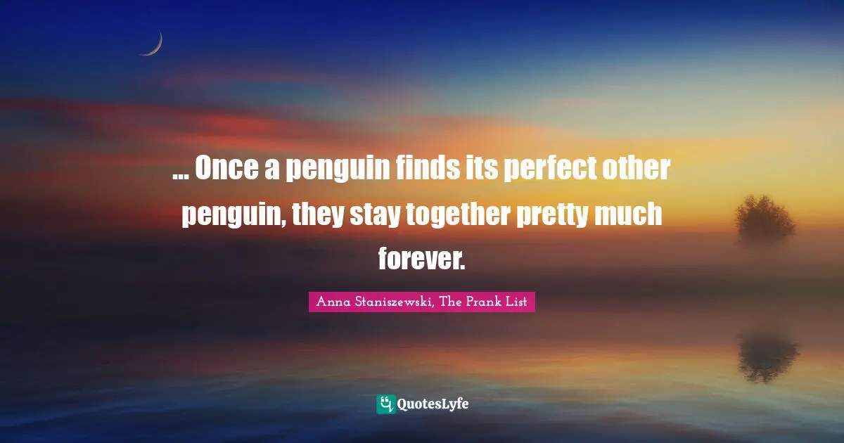 ... Once a penguin finds its perfect other penguin, they stay together pretty much forever.